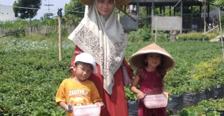 Kunjungan Wisata Petik Strawberry Naik 40 Persen Selama Liburan Idul Fitri 1445 H