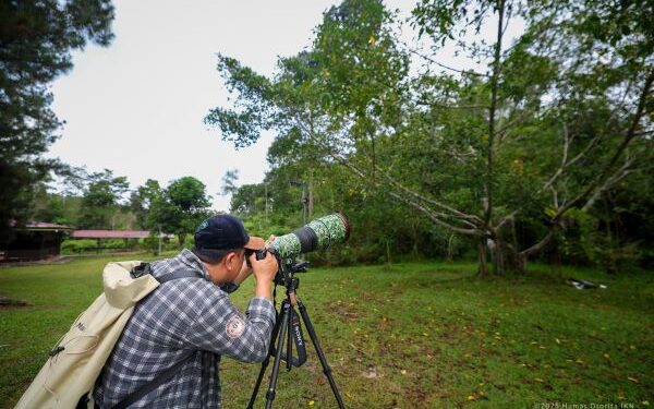 Otorita IKN Kenalkan Keanekaragaman Hayati Melalui Bird Race