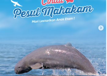 Berikan Cintamu untuk Pesut Mahakam