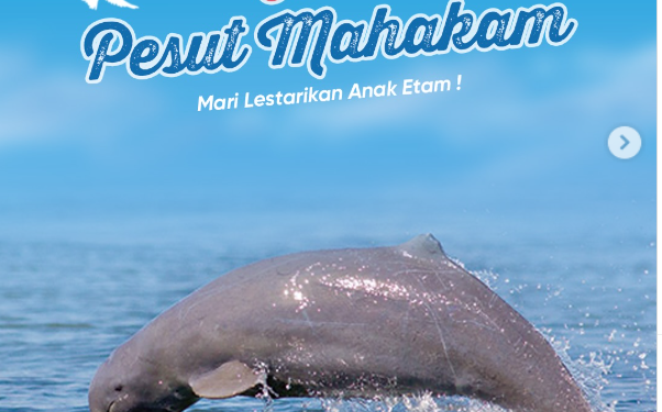 Berikan Cintamu untuk Pesut Mahakam