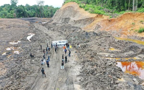Ketua Komisi X DPR RI Kecam Pengrusakan Hutan Pendidikan Unmul