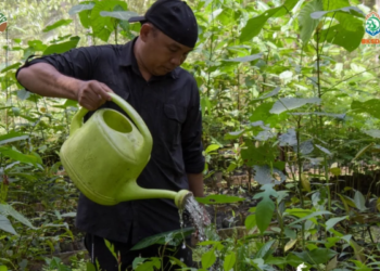Menjaga Pakan, Menjaga Masa Depan Suaka Badak Kelian