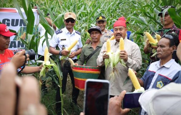 Bupati Kukar Panen Jagung dan Ikan di Poktan Tri Rukun