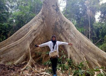 DPMD Kukar Sosialisasikan Proyek Pengelolaan Karbon ke 4 Kecamatan dan 10 Desa