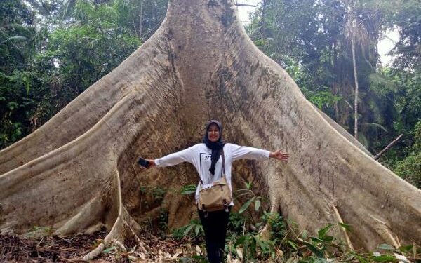 DPMD Kukar Sosialisasikan Proyek Pengelolaan Karbon ke 4 Kecamatan dan 10 Desa