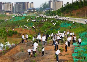 Penanaman Pohon sebagai Komitmen Otorita IKN Wujudkan Kota Hutan