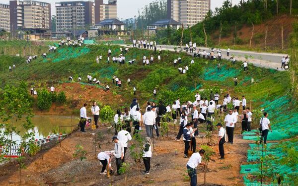 Penanaman Pohon sebagai Komitmen Otorita IKN Wujudkan Kota Hutan