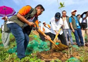 Realestat Indonesia Tanam 800 Bibit Pohon di Ibu Kota Nusantara