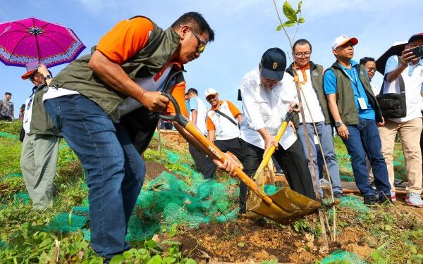 Realestat Indonesia Tanam 800 Bibit Pohon di Ibu Kota Nusantara