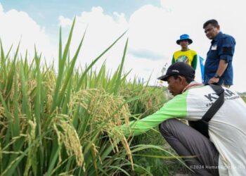 Petani Loa Janan Dibantu Pasarkan Hasil Pertanian