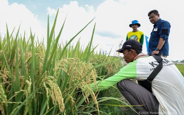 Petani Loa Janan Dibantu Pasarkan Hasil Pertanian