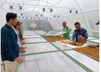 Solar Dryer Dome Membantu Meningkatkan Pascapanen Petani Talas Beneng