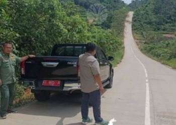 Beruang Tertabrak Truk, BKSDA Imbau Masyarakat Waspada Berkendara