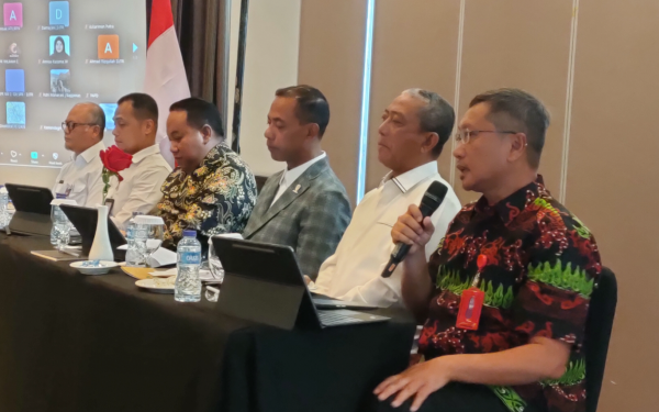 Dafip Haryanto Minta OIKN Bantu Pasokan Listrik di Desa Batuah