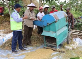Setelah Tiga Bulan, Bupati Kukar  Panen Padi di Tenggarong Seberang