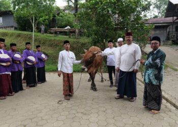 Pemkab Kukar Serahkan Sapi Jenis Limosin di Ponpes Nurul Islam