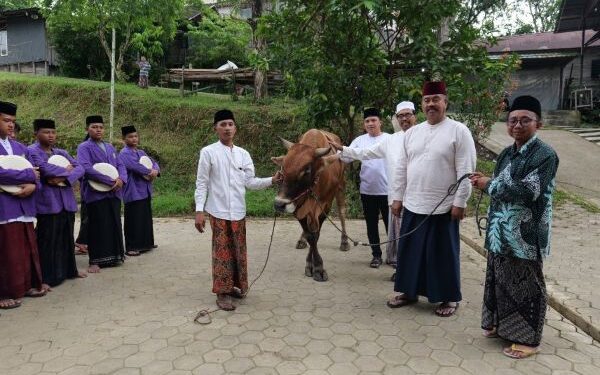 Pemkab Kukar Serahkan Sapi Jenis Limosin di Ponpes Nurul Islam