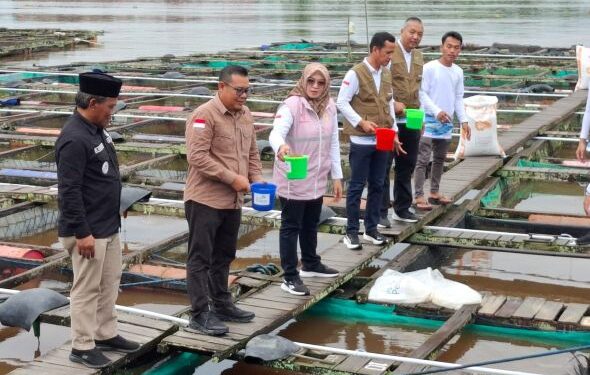 Kadar Oksigen Air Rendah, PLN Kalimantan Beri Bantuan Aerator Listrik