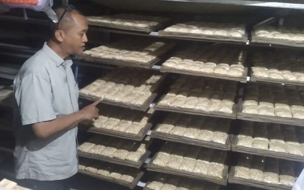 Tempesantren, Produk Tempe  Ponpes Tarbiyatul Ath’fal Indramayu