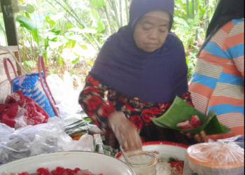 Serunya Berwisata ke Bukit Mahoni Desa Bangun Rejo