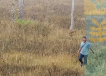 Seksi Konservasi II  Tenggarong Patroli Kebakaran Lahan di Desa Liang Buaya dan Sedulang