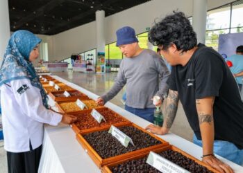 Otorita IKN Gelar Nusantara Liberica Coffee Exhibition
