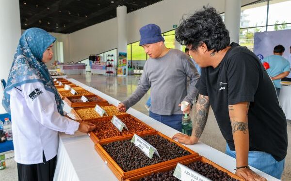 Otorita IKN Gelar Nusantara Liberica Coffee Exhibition