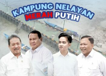 KNMP Siap Dukung MBG, Gudang Beku Jamin Pasokan Ikan dan Stabilitas Harga
