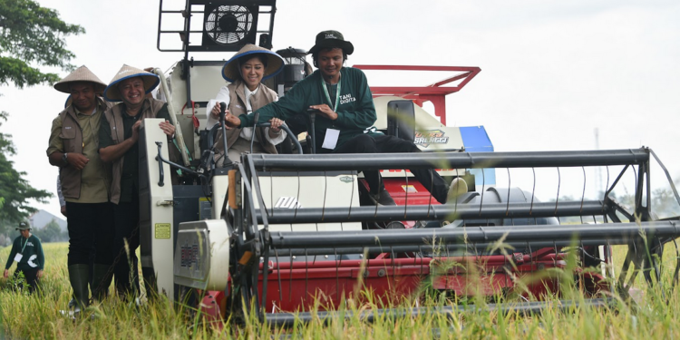 IoT Turunkan Emisi dan Pupuk 50 Persen, Kemkomdigi Sukses Terapkan Tani Digital