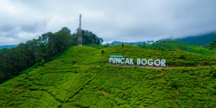 Kemenpar dan ILO Dorong Percepatan Transisi Pariwisata Hijau
