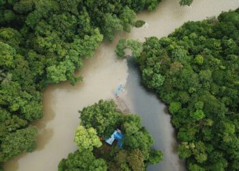 Pemprov Kaltim Komitmen Reforestasi 17 Ribu Hektare Per Tahun