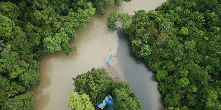 Pemprov Kaltim Komitmen Reforestasi 17 Ribu Hektare Per Tahun