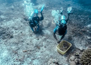 Lebih dari Sekadar Piknik, Indonesia Perlu Pertimbangkan “Green Tourism”