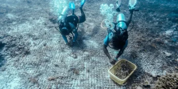 Lebih dari Sekadar Piknik, Indonesia Perlu Pertimbangkan “Green Tourism”