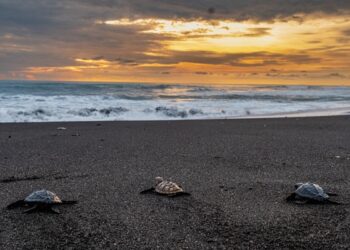 Eduwisata BPOB-Bakti BCA di Bantul dan Malang