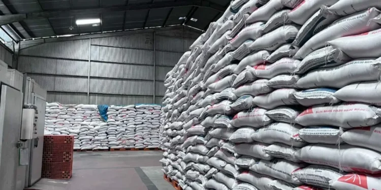 Stok Beras Kaltim Melimpah 34 Ribu Ton, Bulog Jamin Aman Hingga Tiga Bulan Pasca-Lebaran