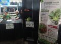 DPRD Samarinda Dorong Produk Lokal Jadi Motor Baru Pendapatan Masyarakat
