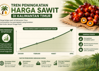 Permintaan CPO Tinggi, Harga TBS Sawit Kaltim Periode April 2026 Merangkak Naik