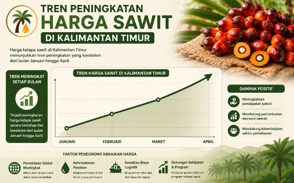 Permintaan CPO Tinggi, Harga TBS Sawit Kaltim Periode April 2026 Merangkak Naik