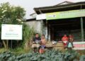 Desa Sejahtera Astra Kanreapia Kabupaten Gowa Menjadi Sentra Sayuran