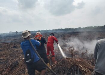 Perda Karhutla Kaltim di Tengah Instruksi Tegas Presiden
