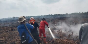 Perda Karhutla Kaltim di Tengah Instruksi Tegas Presiden