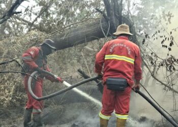 Meneladani Nabi: Refleksi Kemerdekaan di Tengah Ancaman Karhutla