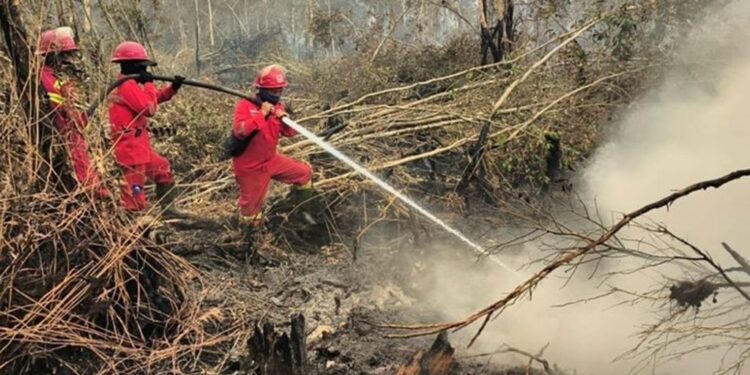 Kemenhut Perkuat Operasi Darat dan Udara di Tengah Lonjakan Titik Panas Karhutla