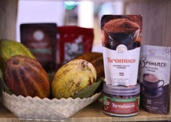 Produk Desa Astra Menembus Pasar Dunia di Trade Expo Indonesia 2026